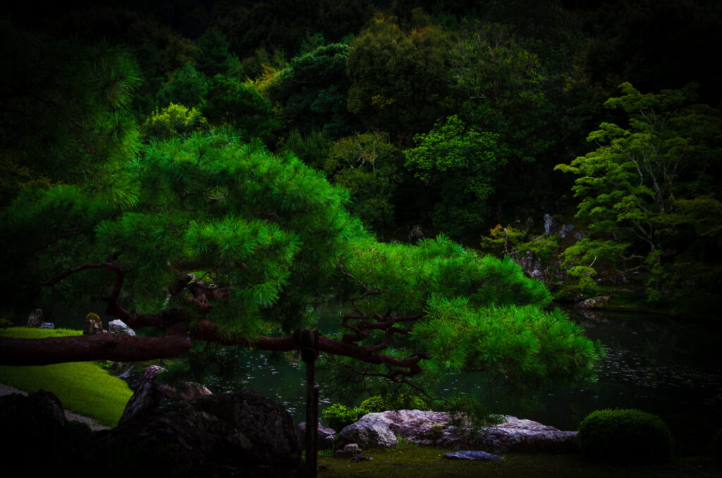 京都の写真