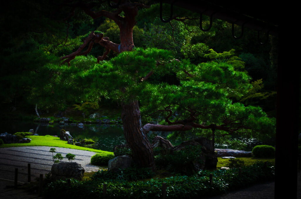 京都の写真