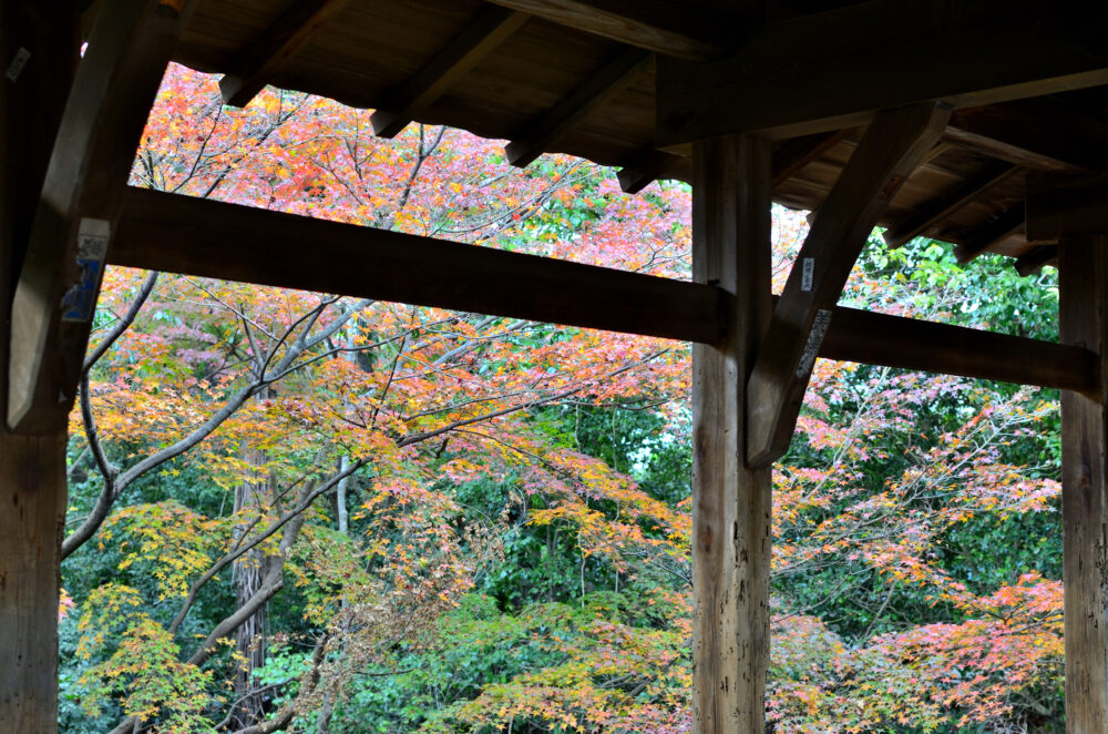 京都の写真