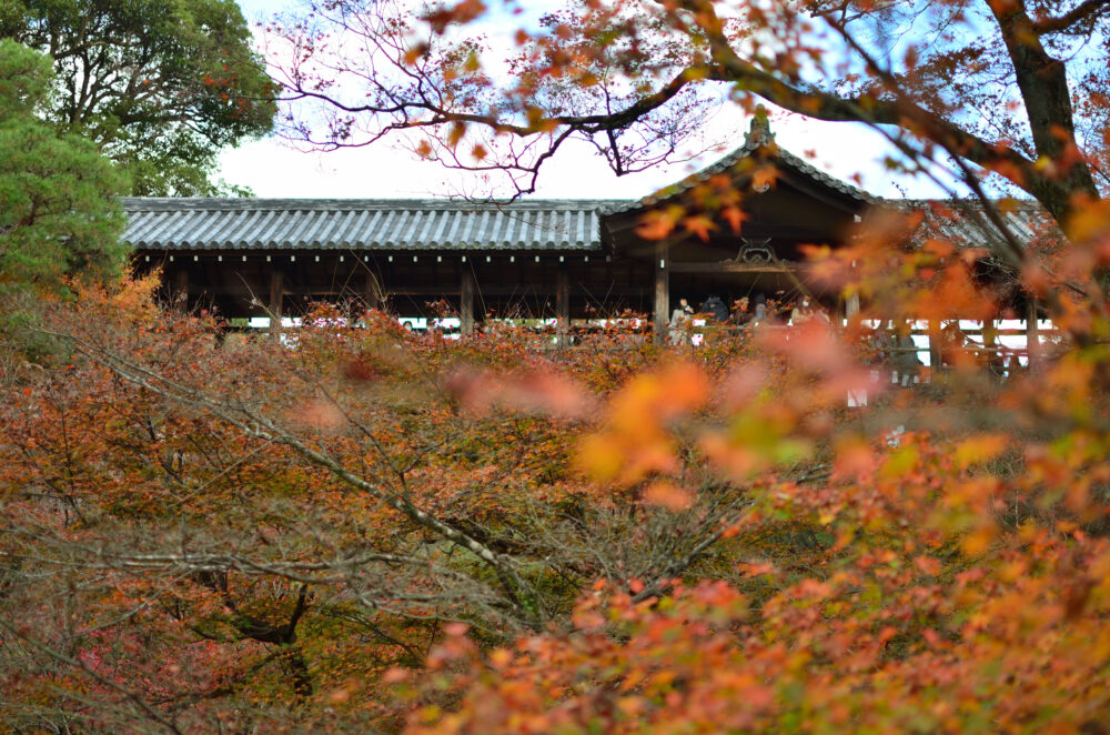 京都の写真