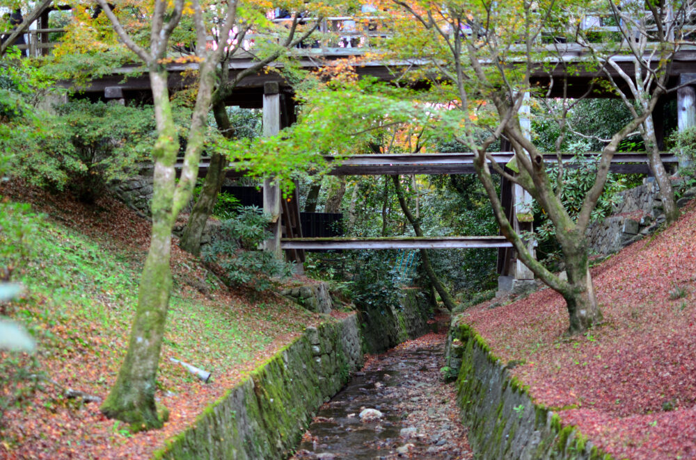 京都の写真