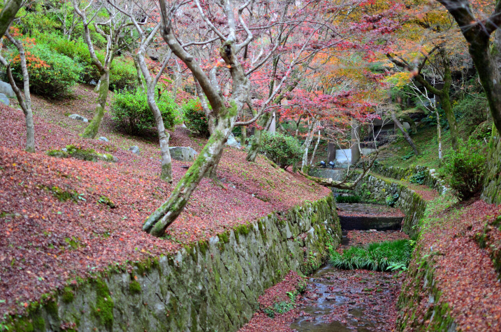 京都の写真