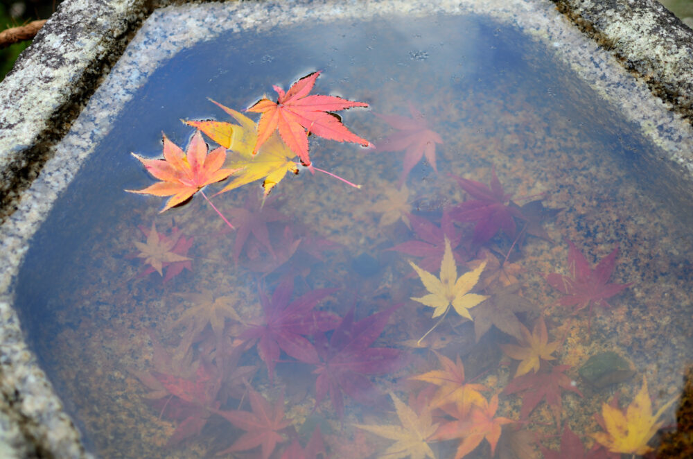 京都の写真