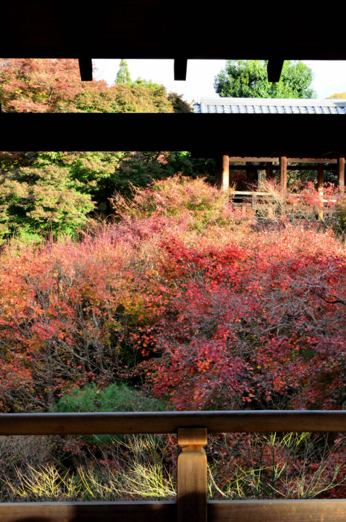 京都の写真