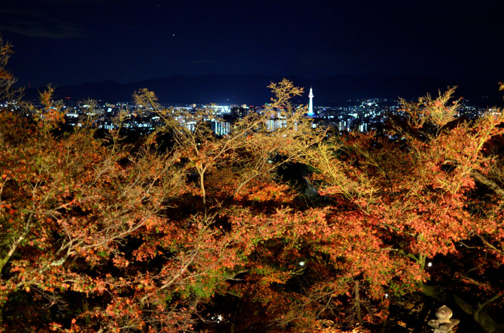 京都の写真