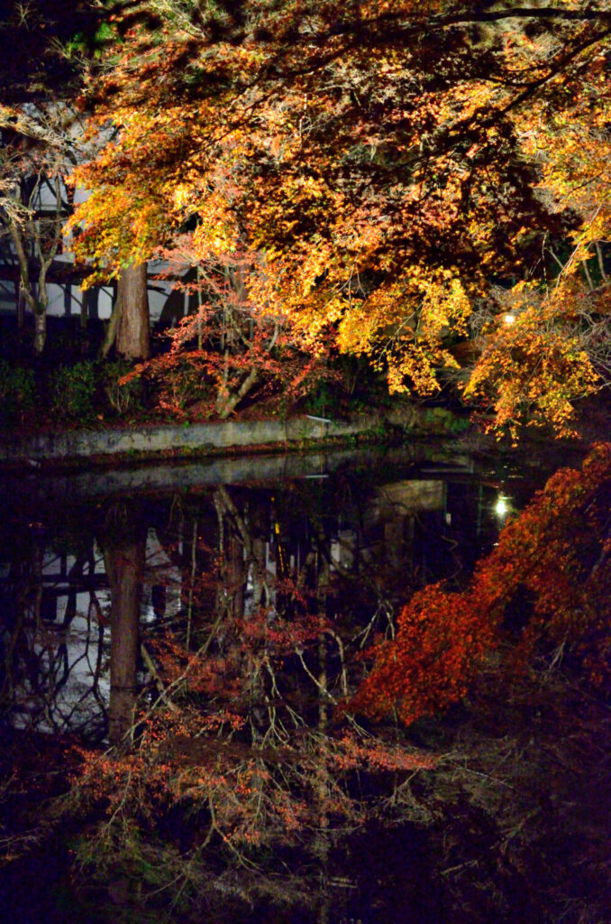 京都の写真