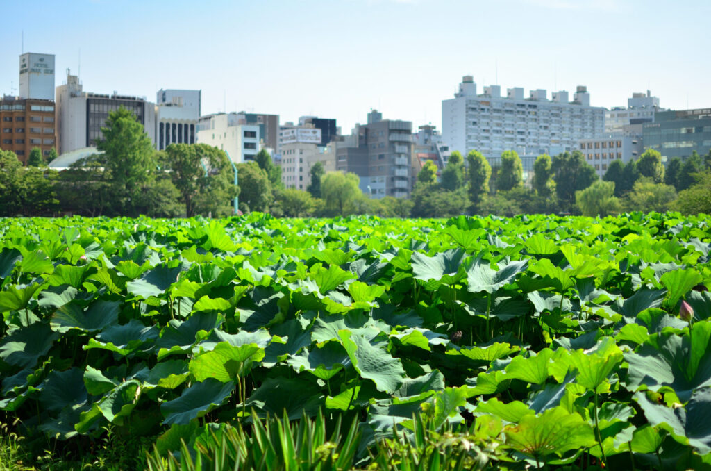 上野公園