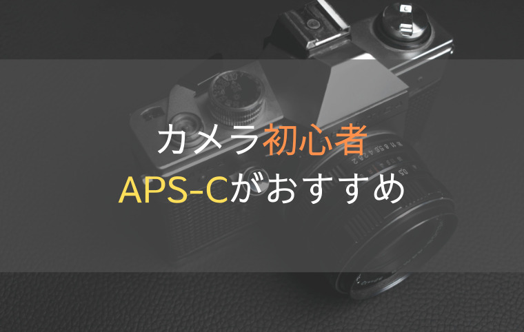 フルサイズは必要ない｜カメラ初心者はAPS-Cがおすすめ