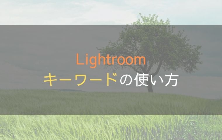 キーワードを使ってLightroomの写真を整理しよう